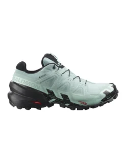 Chaussures De Trail Salomon Speedcross 6 Gtx W Aquifer