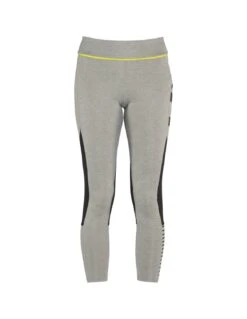 Sous-Vêtement Technique Rossignol Poursuite Tights Heather Grey